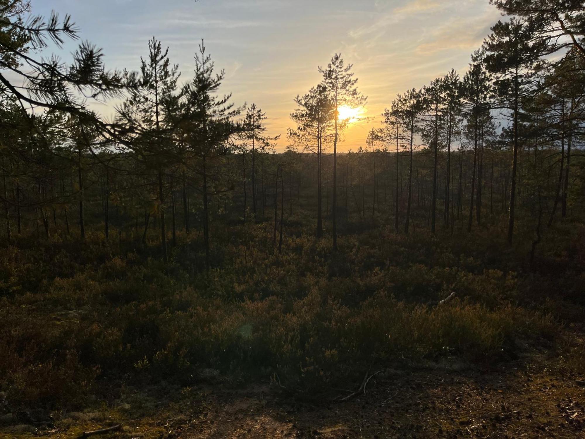 Auglu Ielas Pirts Maja Jurmala Exterior photo