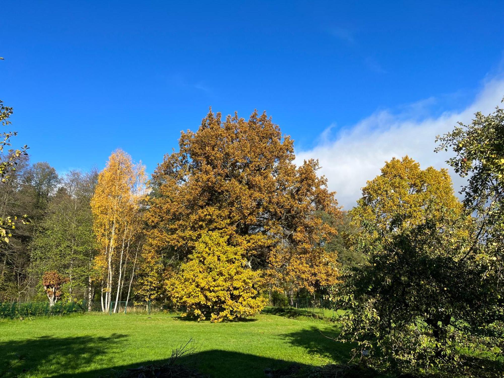 Auglu Ielas Pirts Maja Jurmala Exterior photo